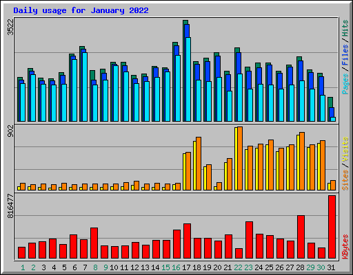 Daily usage for January 2022