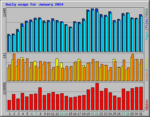 Daily usage for January 2024