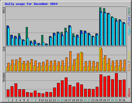 Daily usage for December 2024