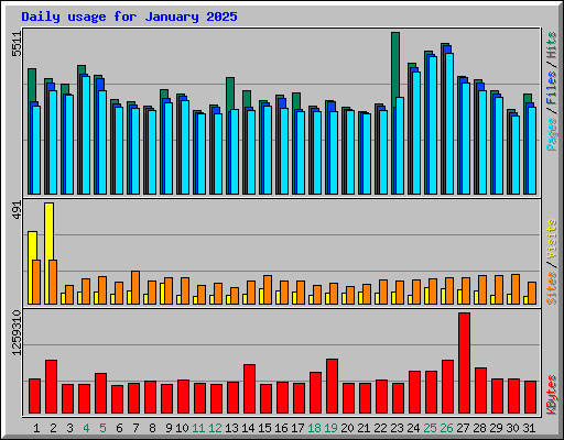Daily usage for January 2025