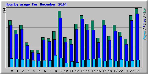 Hourly usage for December 2014
