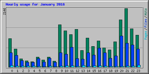 Hourly usage for January 2016