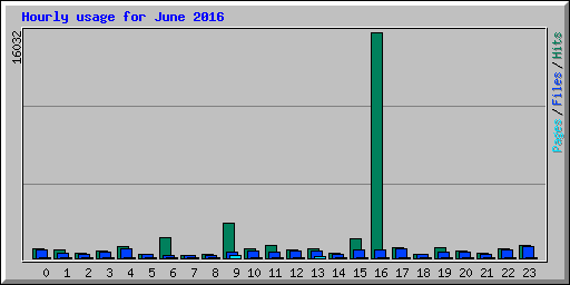 Hourly usage for June 2016
