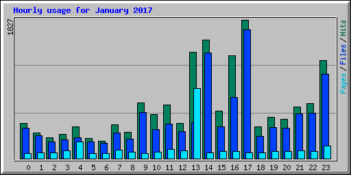 Hourly usage for January 2017