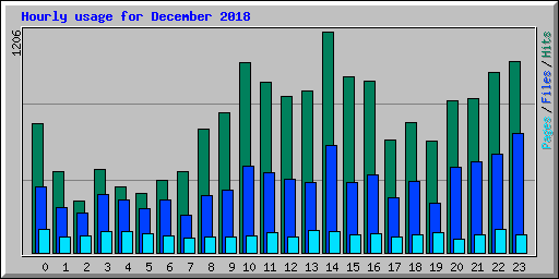 Hourly usage for December 2018