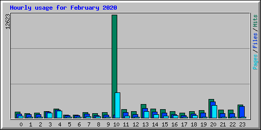 Hourly usage for February 2020