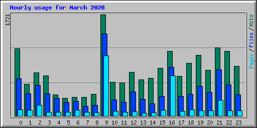 Hourly usage for March 2020