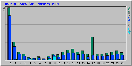 Hourly usage for February 2021