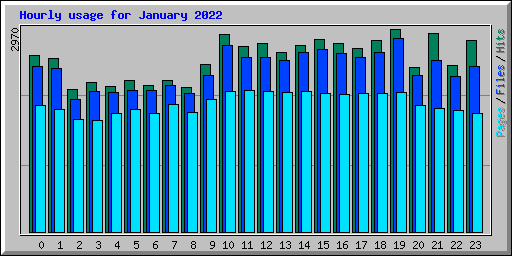 Hourly usage for January 2022
