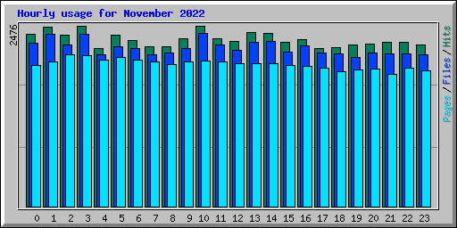Hourly usage for November 2022