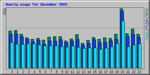 Hourly usage for December 2022