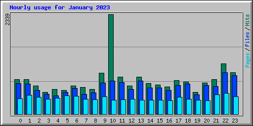 Hourly usage for January 2023