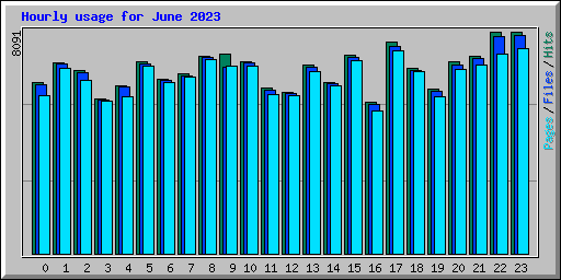 Hourly usage for June 2023