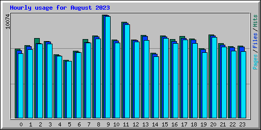 Hourly usage for August 2023