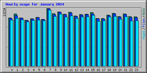 Hourly usage for January 2024