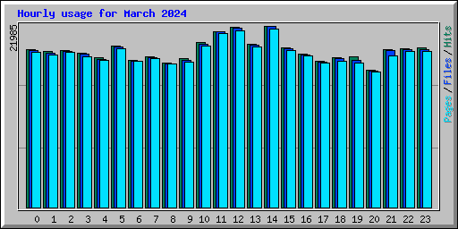 Hourly usage for March 2024
