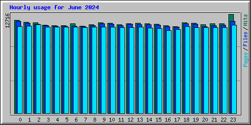 Hourly usage for June 2024
