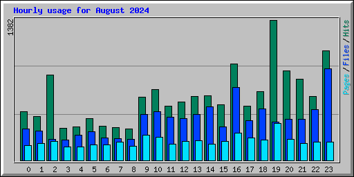 Hourly usage for August 2024