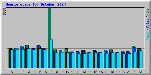 Hourly usage for October 2024