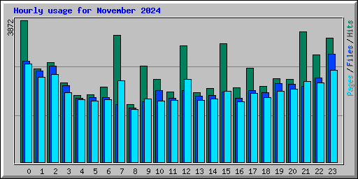 Hourly usage for November 2024