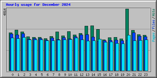 Hourly usage for December 2024