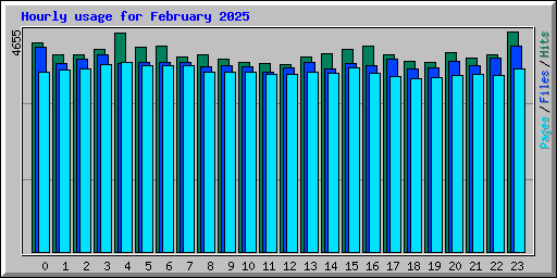 Hourly usage for February 2025
