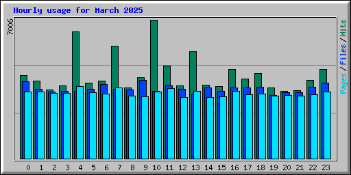 Hourly usage for March 2025