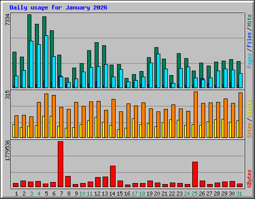 Daily usage for January 2026