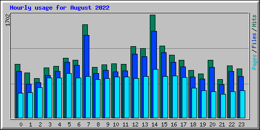 Hourly usage for August 2022