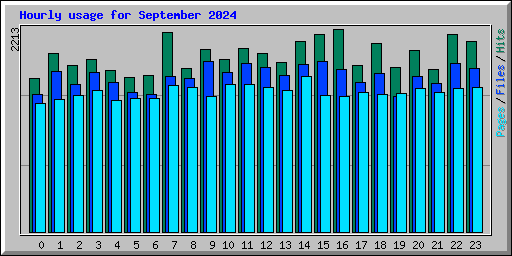 Hourly usage for September 2024