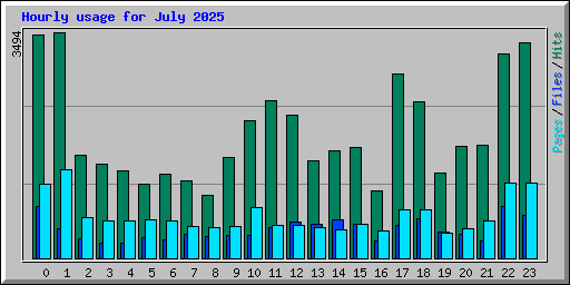 Hourly usage for July 2025