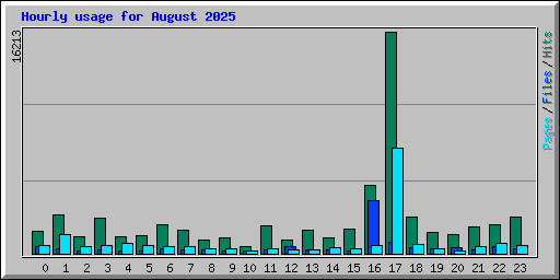 Hourly usage for August 2025