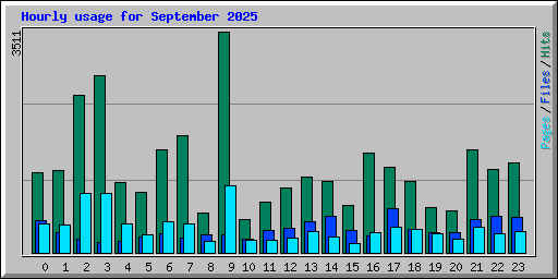 Hourly usage for September 2025