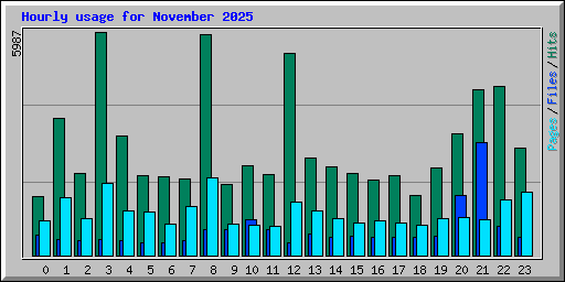 Hourly usage for November 2025