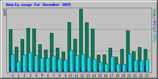 Hourly usage for December 2025