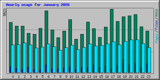 Hourly usage for January 2026
