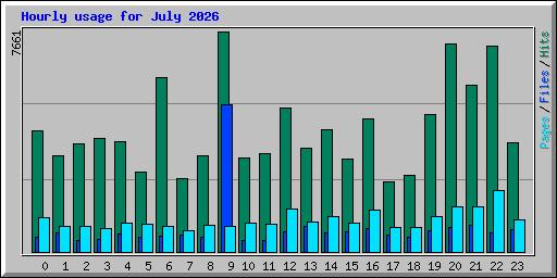 Hourly usage for July 2026
