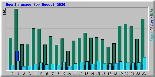 Hourly usage for August 2026